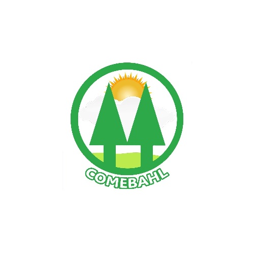 Company 04